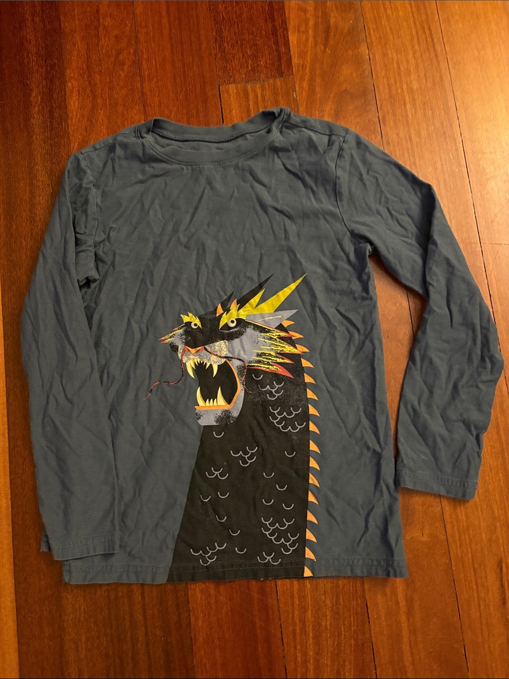 Tea Collection Slate Blue Dragon Graphic Long-Sleeve Tee